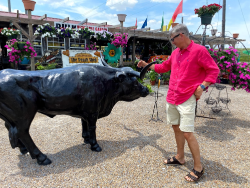 A man in a pink shirt interacts with a black bull statue in a flower-filled outdoor market.