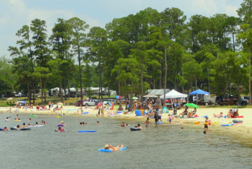 A busy beach scene with people swimming, lounging on floats, and enjoying the sun under trees and tents.
