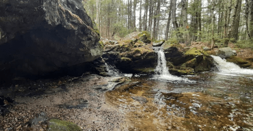 A serene forest scene featuring a small waterfall flowing over rocks into a calm stream, surrounded by trees.