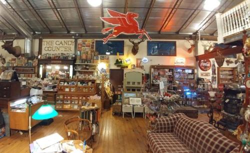 A vintage store interior filled with eclectic items, including a candy counter, furniture, and mounted animal heads.