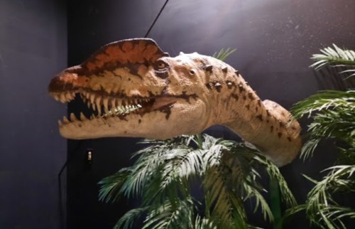 A lifelike dinosaur head mounted on a wall, surrounded by green foliage, against a dark background.