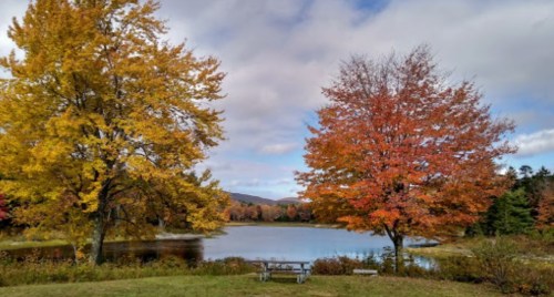 A serene lake surrounded by vibrant autumn trees in shades of yellow and orange under a partly cloudy sky.