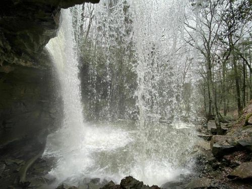 A waterfall cascades over rocks into a serene pool, surrounded by trees in a misty forest setting.