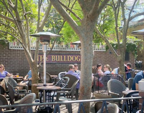 Outdoor seating area at The Bulldog, with patrons enjoying drinks under trees and patio heaters.
