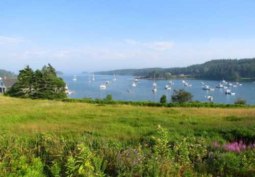 A serene coastal view with boats anchored in a calm bay, surrounded by lush greenery and distant hills under a clear sky.