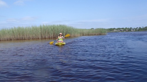 A person kayaking on a calm river surrounded by tall green grass and a clear blue sky.
