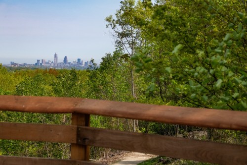 A view of a city skyline through lush green trees, with a wooden railing in the foreground.