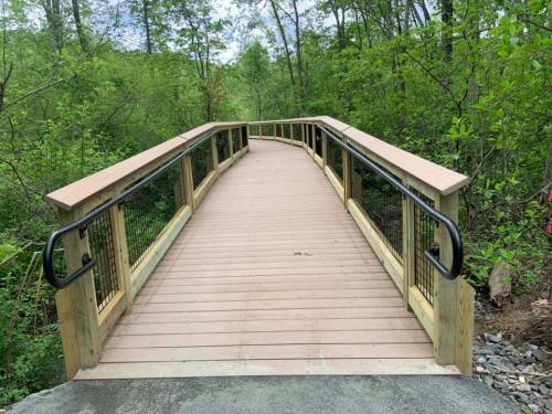 A wooden bridge with railings, surrounded by lush green trees and foliage, leading into a natural area.