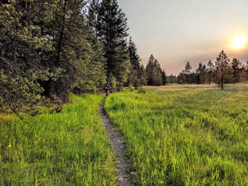 A person walks along a winding trail through a lush green field surrounded by tall trees at sunset.