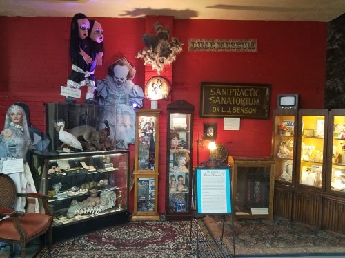 A quirky museum display featuring dolls, taxidermy, and eerie artifacts against a red wall.