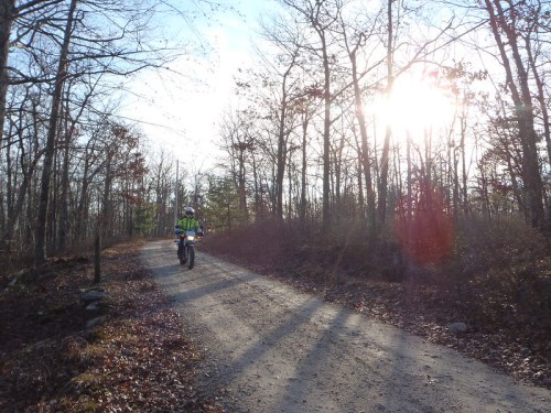 A motorcyclist rides on a dirt path through a wooded area, with sunlight filtering through the trees.