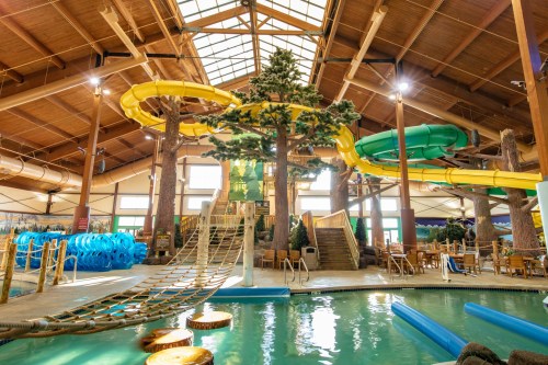 Indoor water park featuring colorful slides, a pool, and a tree-themed decor with wooden structures and seating areas.