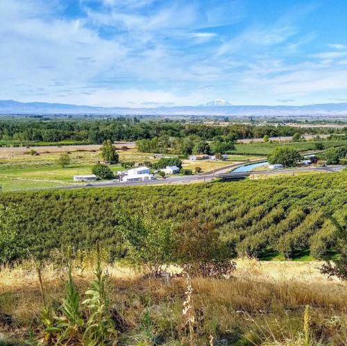 A scenic view of rolling hills, vineyards, and a distant mountain under a blue sky with scattered clouds.