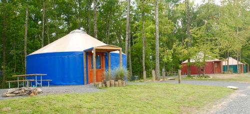 Two colorful yurts in a wooded area, surrounded by grass and trees, with a picnic table nearby.
