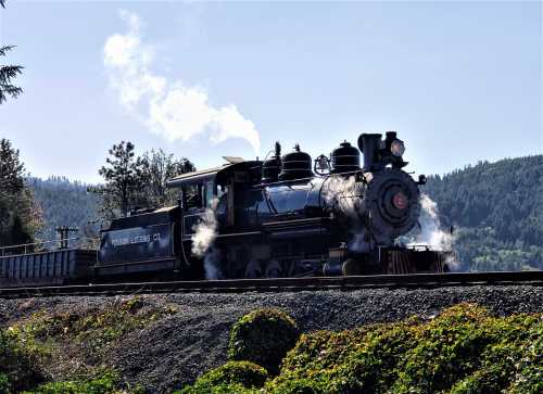 A vintage steam locomotive chugs along a track, releasing steam against a backdrop of green hills and trees.