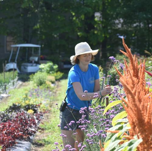 A woman in a straw hat tends to colorful flowers in a vibrant garden on a sunny day.