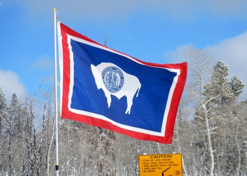 A flag featuring a white bison silhouette on a blue background, bordered by red, with a caution sign below.