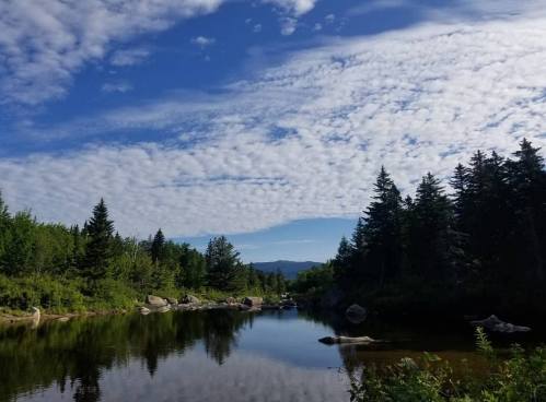 A serene river reflects a blue sky with clouds, surrounded by lush greenery and tall trees.