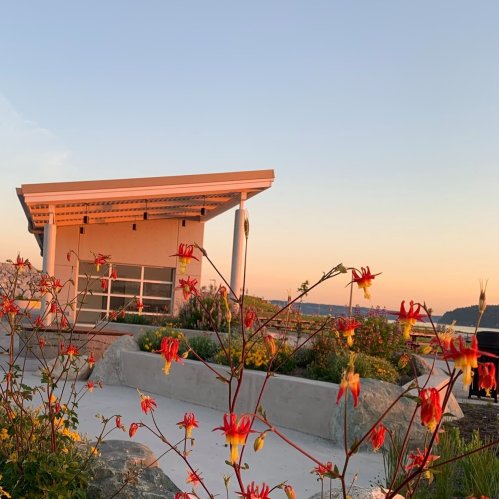 A modern building with a flat roof surrounded by colorful flowers at sunset, with a calm water view in the background.