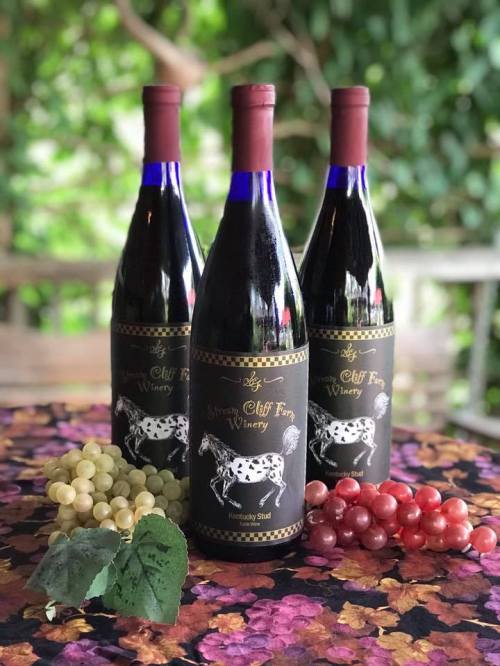 Three bottles of red wine from Cliff Farm Winery on a table with grapes and leaves in a lush outdoor setting.