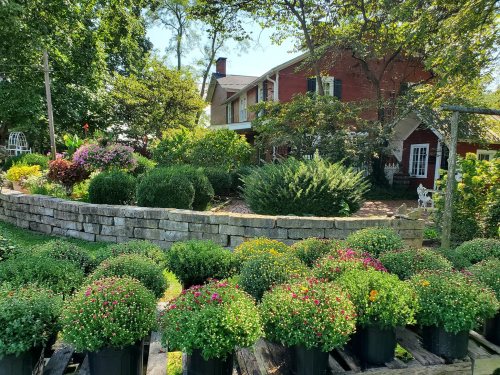 A lush garden with colorful potted flowers in the foreground and a charming house surrounded by trees in the background.