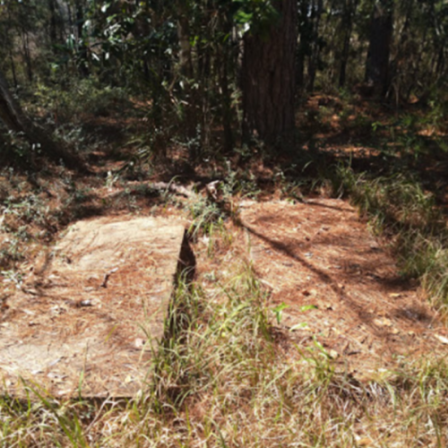 Two large, flat stones partially covered by grass and surrounded by trees in a wooded area.