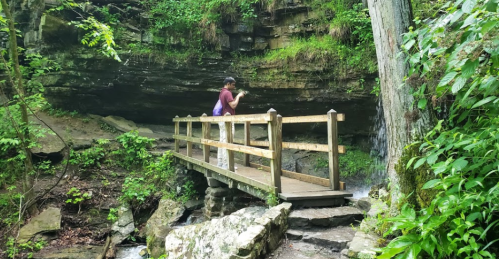 A person stands on a wooden bridge in a lush, green forest, surrounded by rocks and a small waterfall.