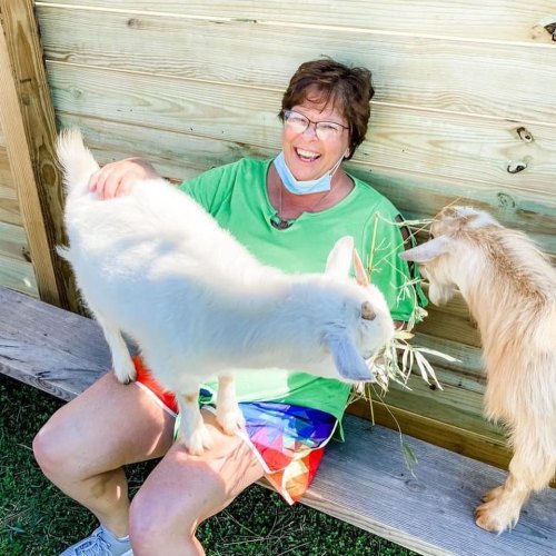 A smiling woman in a green shirt sits on a bench, petting two goats in a sunny outdoor setting.