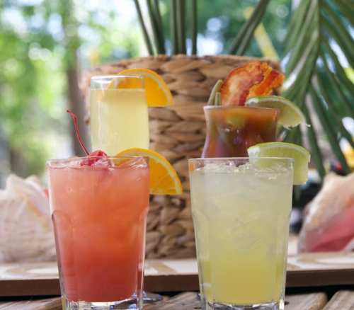 A variety of colorful cocktails with garnishes, displayed in glasses on a wooden table, surrounded by greenery.
