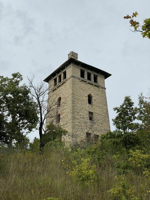 A tall, stone tower stands amidst trees and tall grass under a cloudy sky.