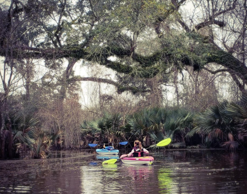 Three kayakers paddle through a serene, tree-lined waterway surrounded by lush greenery.