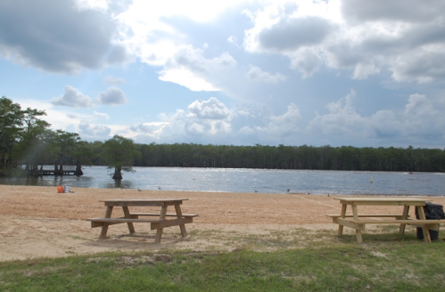 A sandy beach by a calm lake, with picnic tables and trees under a cloudy sky.