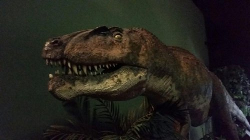 A lifelike dinosaur model, resembling a T-Rex, with sharp teeth and a fierce expression, set against a dark background.