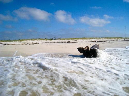 A sandy beach with gentle waves washing over a piece of driftwood under a blue sky with scattered clouds.