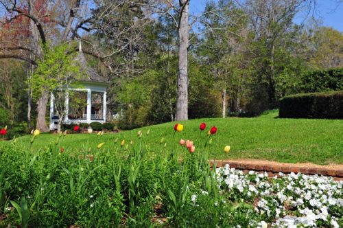 A vibrant garden with blooming tulips and white flowers, featuring a gazebo in the background under a clear blue sky.