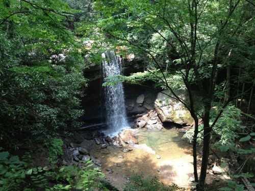 A serene waterfall cascades into a rocky pool, surrounded by lush green trees and foliage.