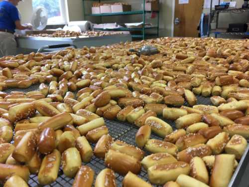 A large table covered with freshly baked pretzel buns, with a person in the background preparing more.