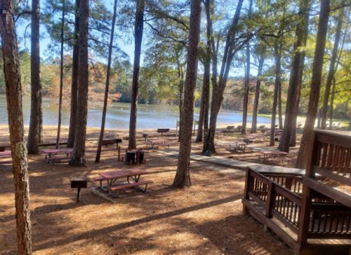 A serene lakeside picnic area with wooden tables and grills, surrounded by tall trees and autumn foliage.