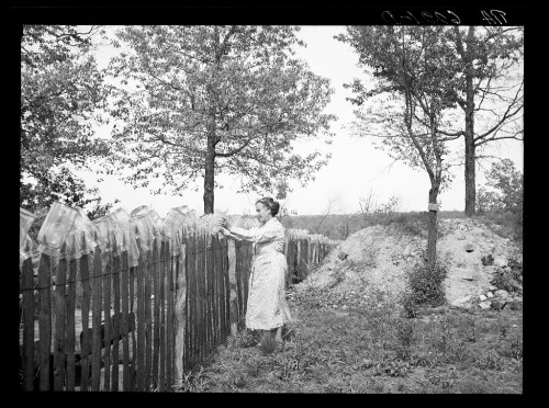 A woman in a dress stands by a wooden fence, arranging jars under trees in a rural setting.