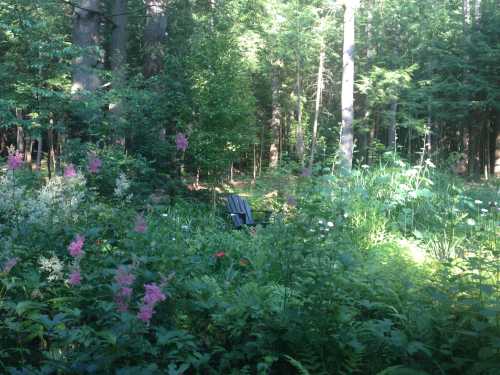 A serene forest scene with vibrant flowers and a lone chair nestled among the greenery.