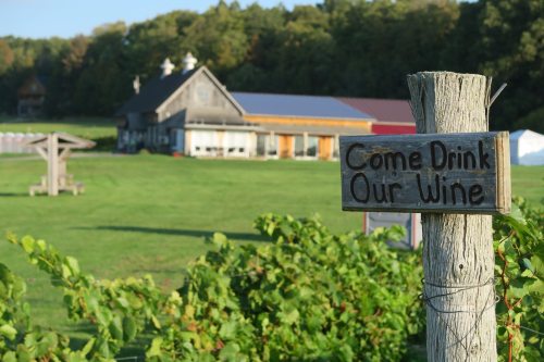 A wooden sign invites visitors to enjoy wine, with a vineyard and rustic building in the background.