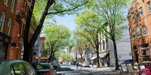 A vibrant street scene with trees, shops, and people walking on a sunny day. Cars are parked along the road.