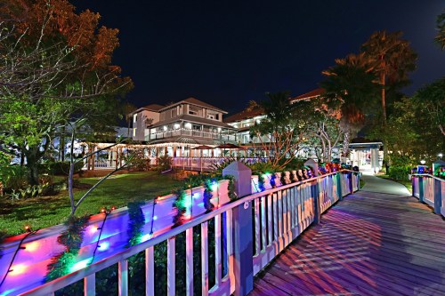 A beautifully lit pathway leads to a charming building surrounded by trees at night, adorned with colorful lights.