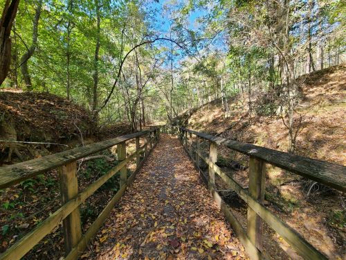 A wooden bridge leads through a forest path covered in fallen leaves, surrounded by trees and dappled sunlight.