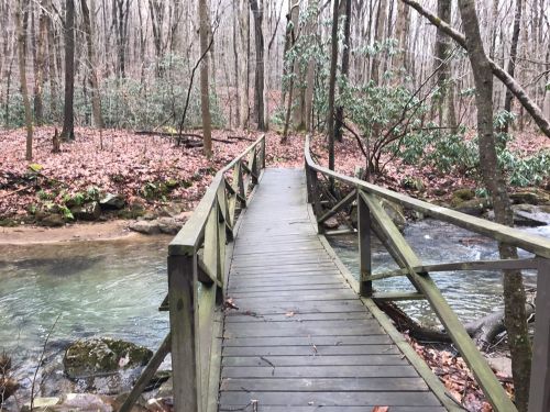 A wooden bridge spans a stream in a forest, surrounded by bare trees and fallen leaves.