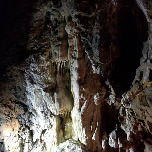 A close-up of a rocky cave wall with stalactites and unique mineral formations illuminated by soft light.