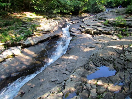 A rocky stream flows through a forested area, with sunlight filtering through the trees and reflecting on the water.