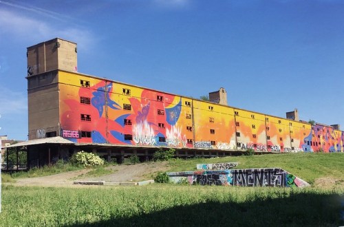 Colorful graffiti covers a large, abandoned building under a clear blue sky, surrounded by green grass.
