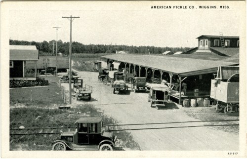 Historic black-and-white photo of American Pickle Co. in Wiggins, Mississippi, featuring vintage cars and a rural setting.