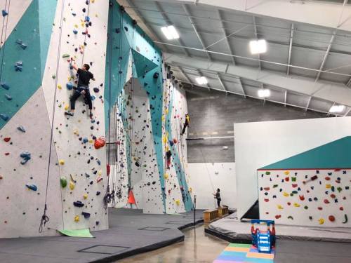 Indoor climbing gym with multiple walls, climbers scaling routes, and a colorful padded floor for safety.